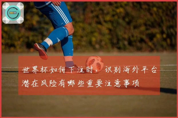 世界杯如何下注时，识别海外平台潜在风险有哪些重要注意事项