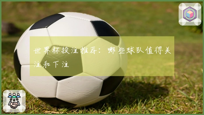 世界杯投注推荐：哪些球队值得关注和下注