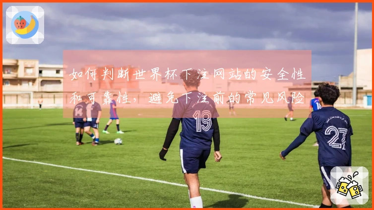 如何判断世界杯下注网站的安全性和可靠性，避免下注前的常见风险？