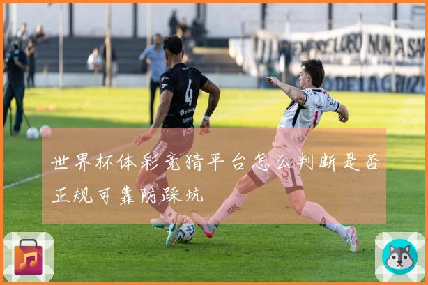 世界杯体彩竞猜平台怎么判断是否正规可靠防踩坑