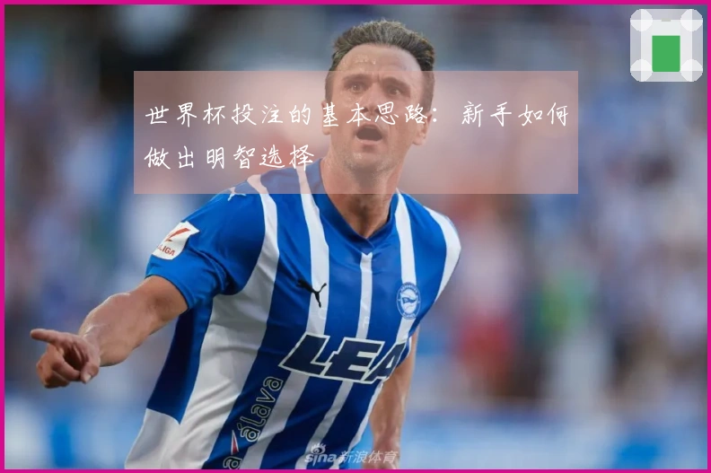 世界杯投注的基本思路:新手如何做出明智选择