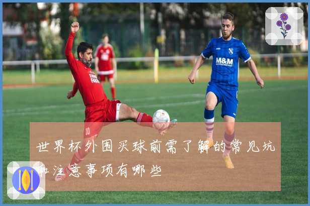 世界杯外围买球前需了解的常见坑和注意事项有哪些