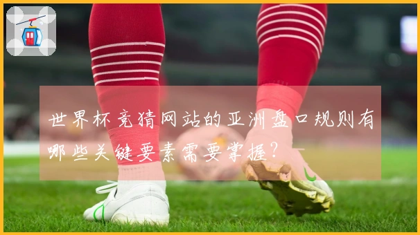 世界杯竞猜网站的亚洲盘口规则有哪些关键要素需要掌握？