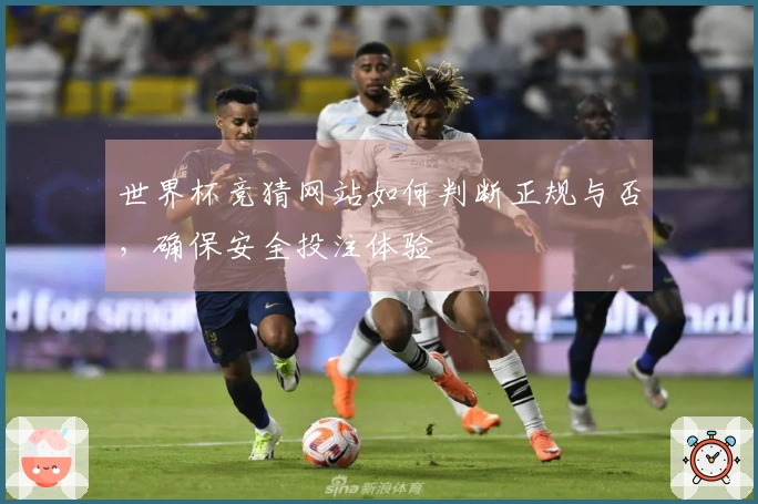 世界杯竞猜网站如何判断正规与否，确保安全投注体验