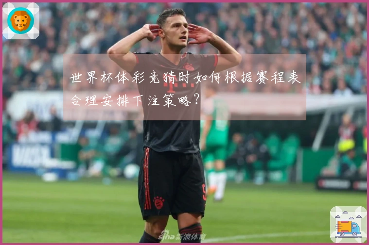 世界杯体彩竞猜时如何根据赛程表合理安排下注策略？