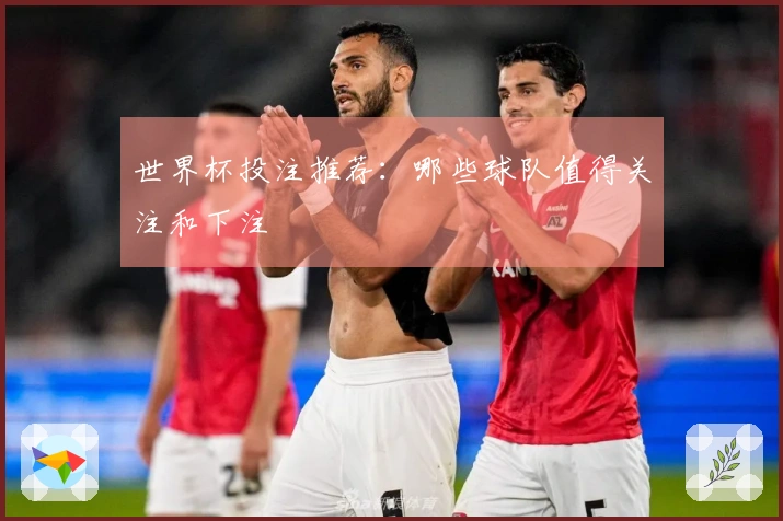 世界杯投注推荐：哪些球队值得关注和下注