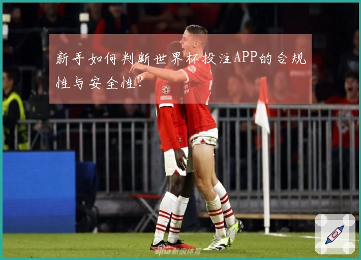 新手如何判断世界杯投注APP的合规性与安全性？