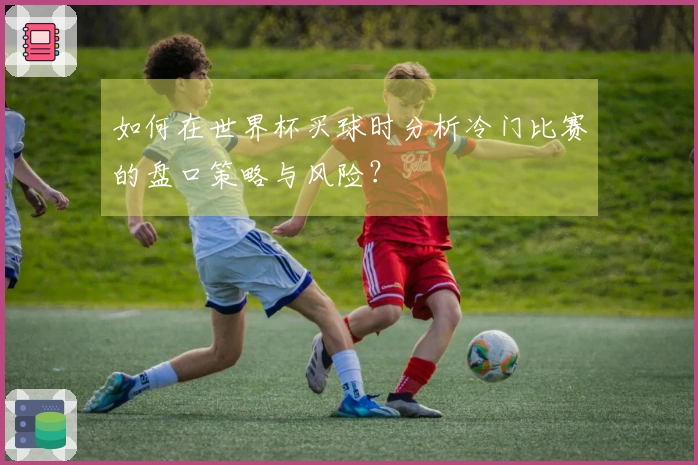 如何在世界杯买球时分析冷门比赛的盘口策略与风险？