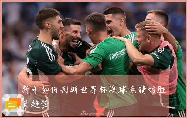 新手如何判断世界杯滚球竞猜的胜负趋势