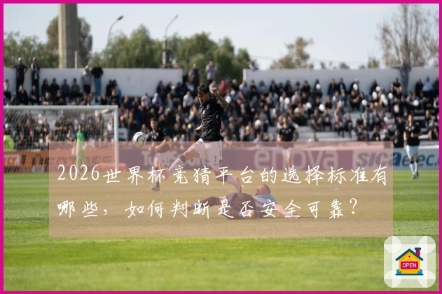 2026世界杯竞猜平台的选择标准有哪些，如何判断是否安全可靠？