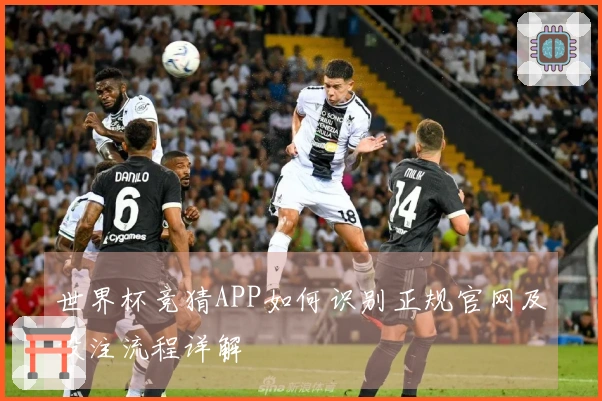 世界杯竞猜APP如何识别正规官网及投注流程详解