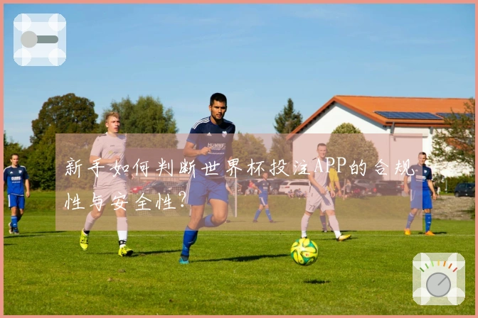 新手如何判断世界杯投注APP的合规性与安全性？