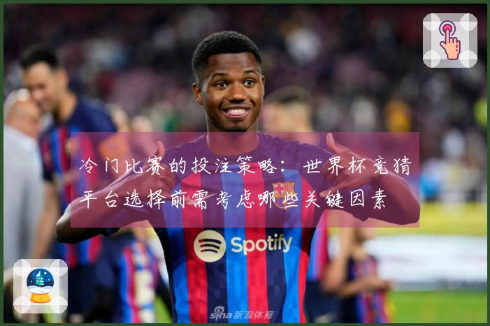 冷门比赛的投注策略：世界杯竞猜平台选择前需考虑哪些关键因素