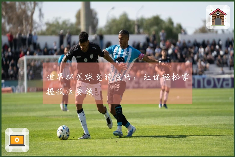 世界杯买球竞猜技巧，让你轻松掌握投注要领