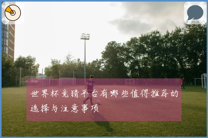 世界杯竞猜平台有哪些值得推荐的选择与注意事项