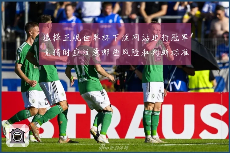 选择正规世界杯下注网站进行冠军竞猜时应注意哪些风险和判断标准