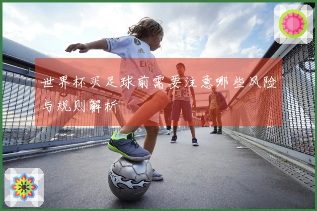 世界杯买足球前需要注意哪些风险与规则解析