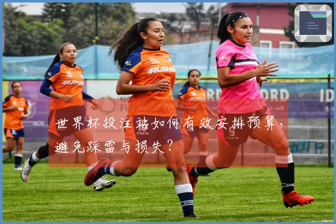 世界杯投注站如何有效安排预算，避免踩雷与损失？