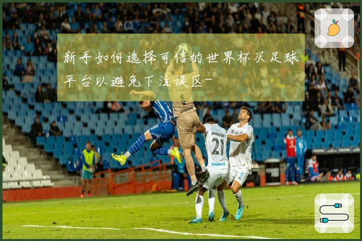 新手如何选择可信的世界杯买足球平台以避免下注误区-