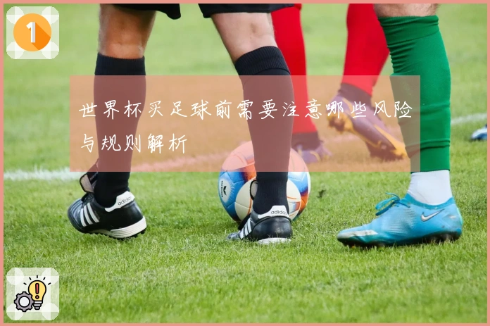 世界杯买足球前需要注意哪些风险与规则解析