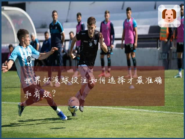 世界杯滚球投注如何选择才最准确和有效？