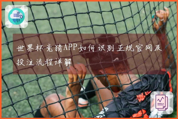 世界杯竞猜APP如何识别正规官网及投注流程详解