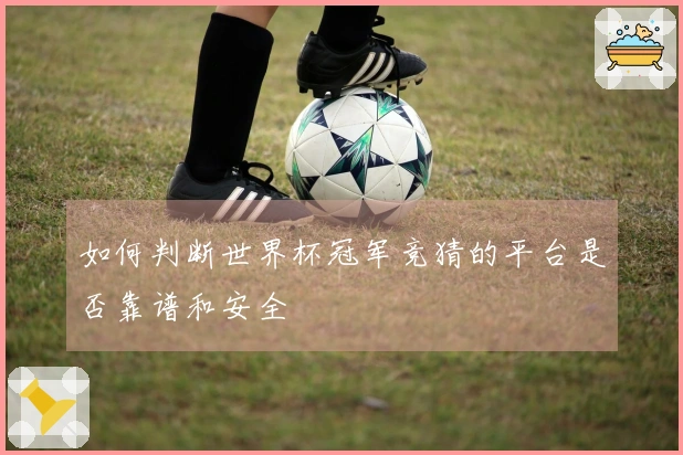 如何判断世界杯冠军竞猜的平台是否靠谱和安全