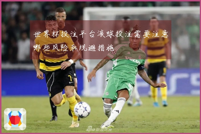 世界杯投注平台滚球投注需要注意哪些风险和规避措施