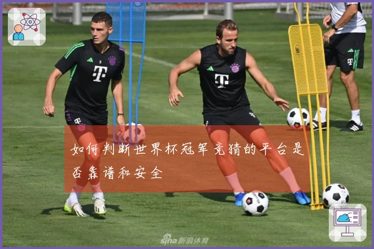 如何判断世界杯冠军竞猜的平台是否靠谱和安全