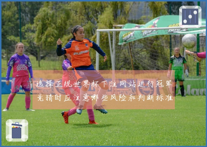 选择正规世界杯下注网站进行冠军竞猜时应注意哪些风险和判断标准