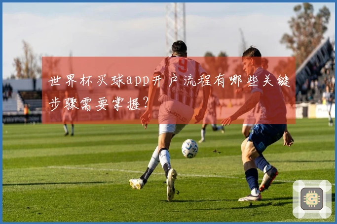 世界杯买球app开户流程有哪些关键步骤需要掌握？