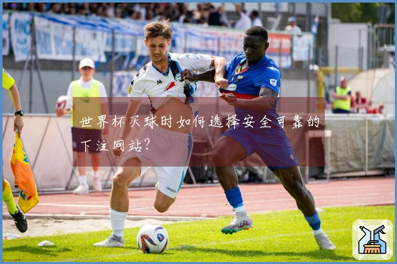 世界杯买球时如何选择安全可靠的下注网站？