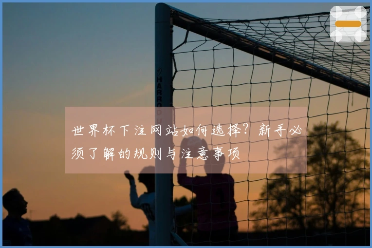 世界杯下注网站如何选择？新手必须了解的规则与注意事项