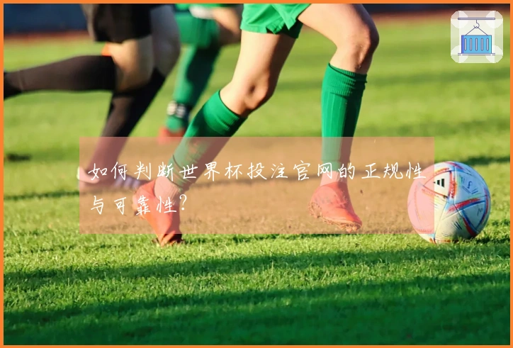 如何判断世界杯投注官网的正规性与可靠性？